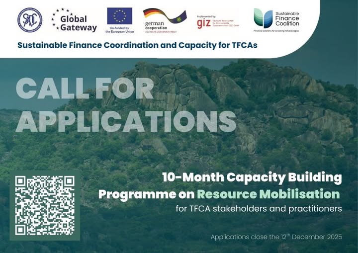Call for Applications: Resource Mobilisation Capacity Building Program