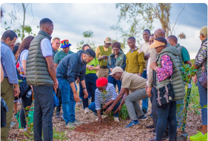 Africa’s 2.18 million social enterprises are rewriting the continent’s growth story