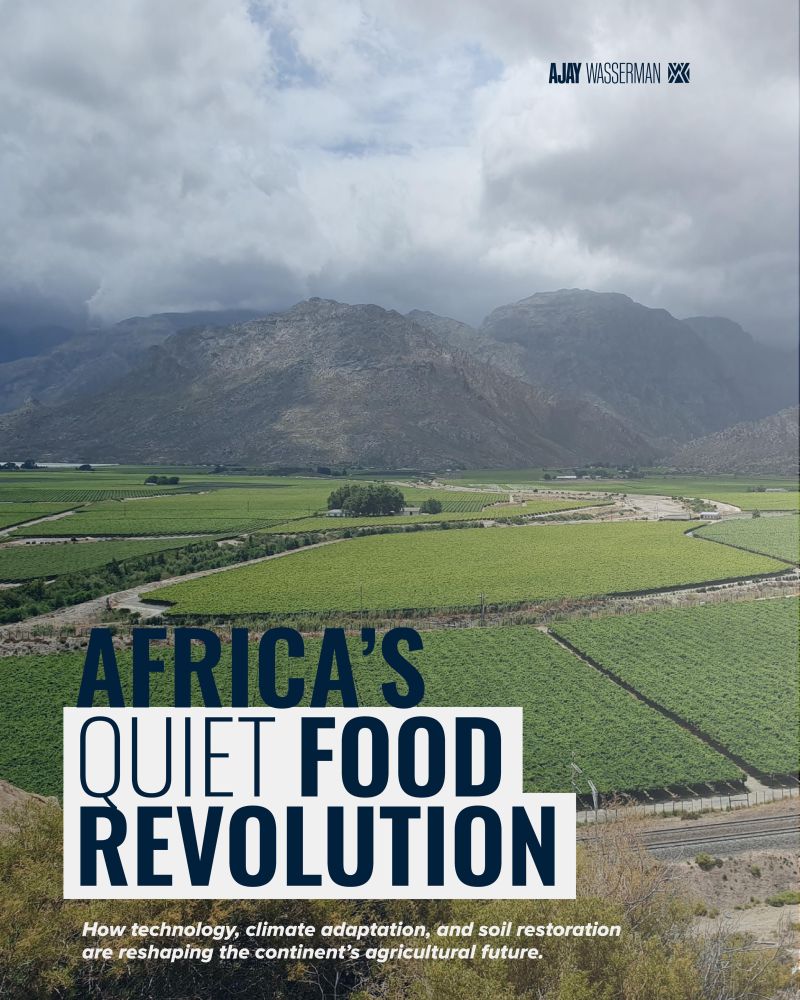 Agriculture 2.0: Africa’s Quiet Food Revolution