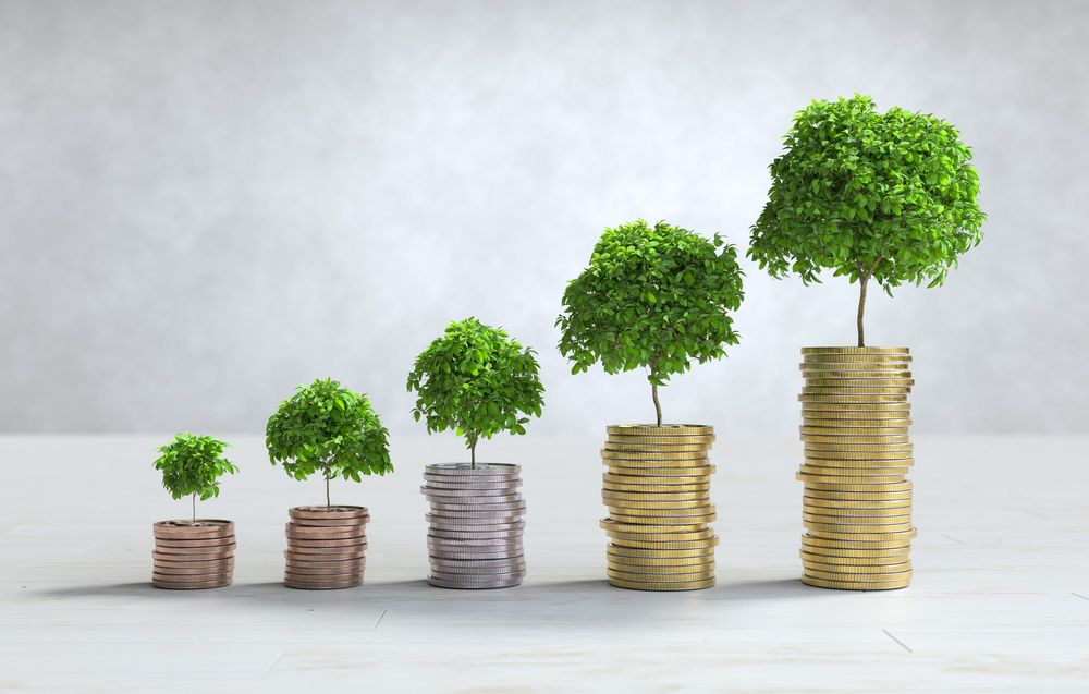 Finance Series - Building a financial cushion through saving without stifling growth